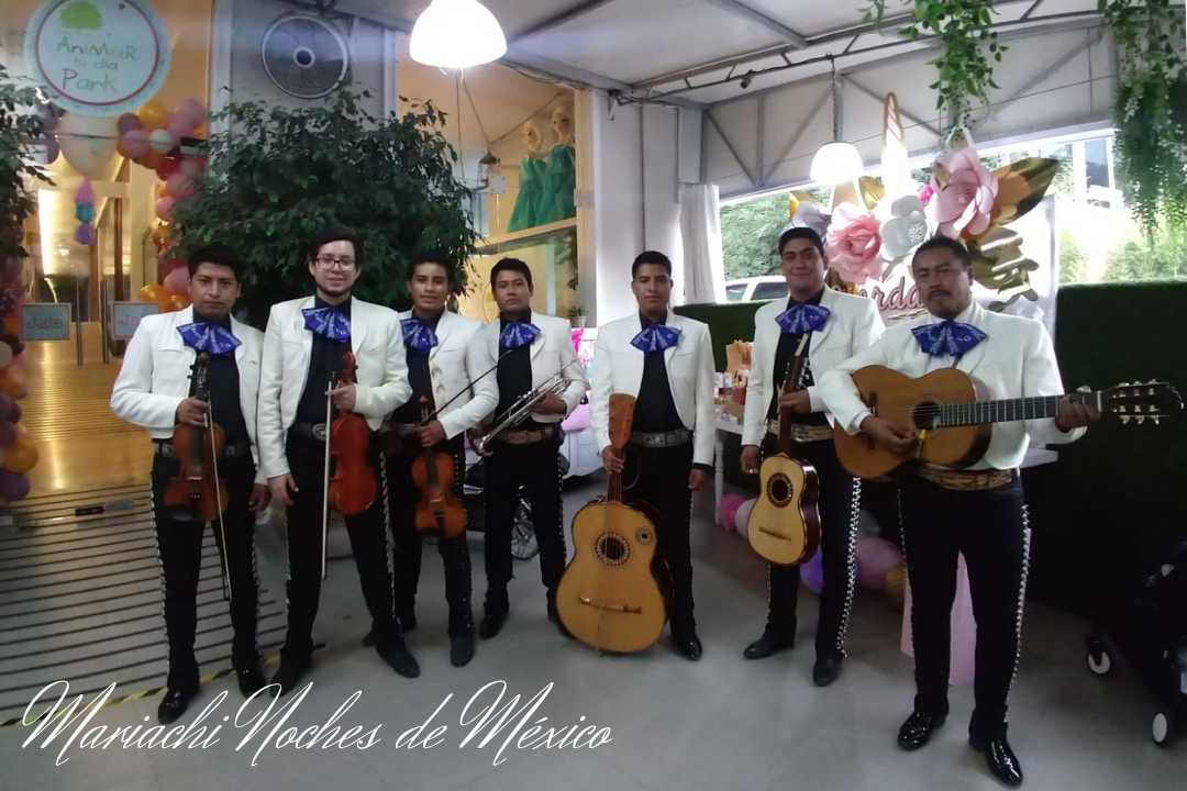 Mariachis en Coyoacán y la cdmx