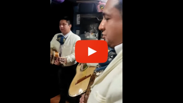 Mariachis en Xochimilco serenatas Serenatas con Mariachi en Xochimilco precios